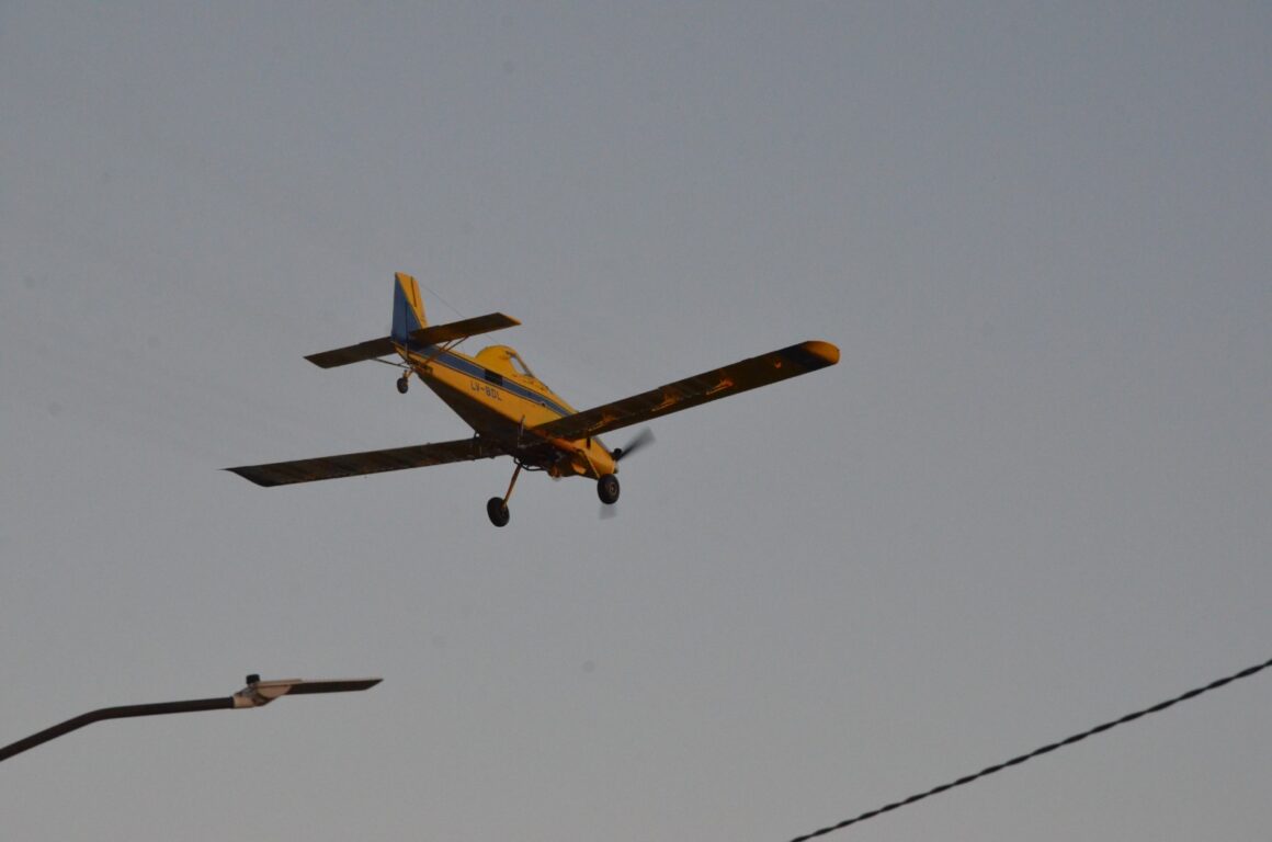 Plaga Estacional: aplicaciones aéreas y terrestres para atenuar la población de mosquitos