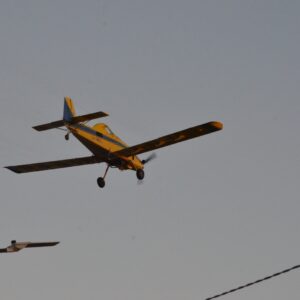 Plaga Estacional: aplicaciones aéreas y terrestres para atenuar la población de mosquitos