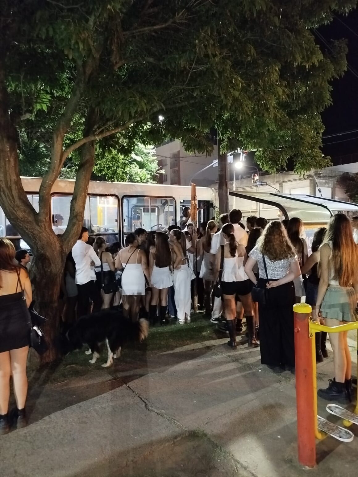 Cerca de 600 jóvenes fueron trasladados por el TUP especial en la celebración de Año Nuevo