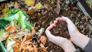 Taller sobre Separación DE Residuos y Compostaje domiciliario