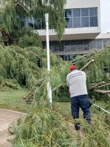 La Dirección de Espacios Públicos recupera a paso firme plazas y áreas verdes