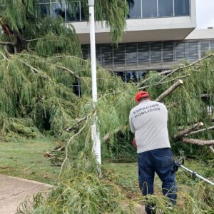 La Dirección de Espacios Públicos recupera a paso firme plazas y áreas verdes