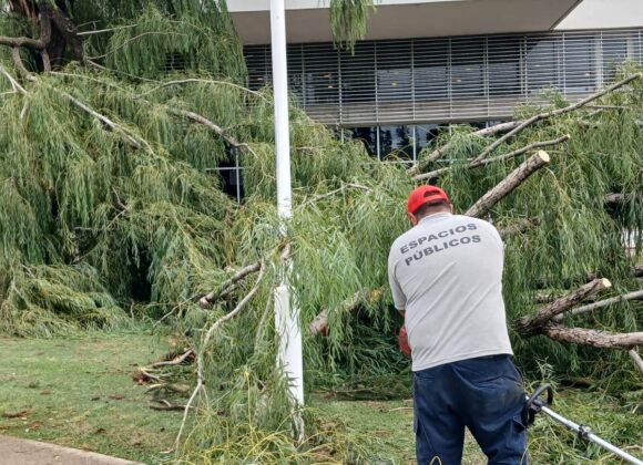 La Dirección de Espacios Públicos recupera a paso firme plazas y áreas verdes