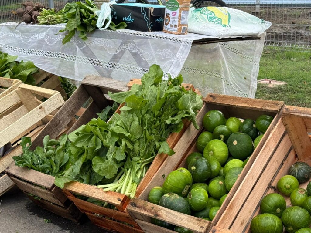Los amantes de la huerta tuvieron este domingo una capacitación especial en Venite al Parque