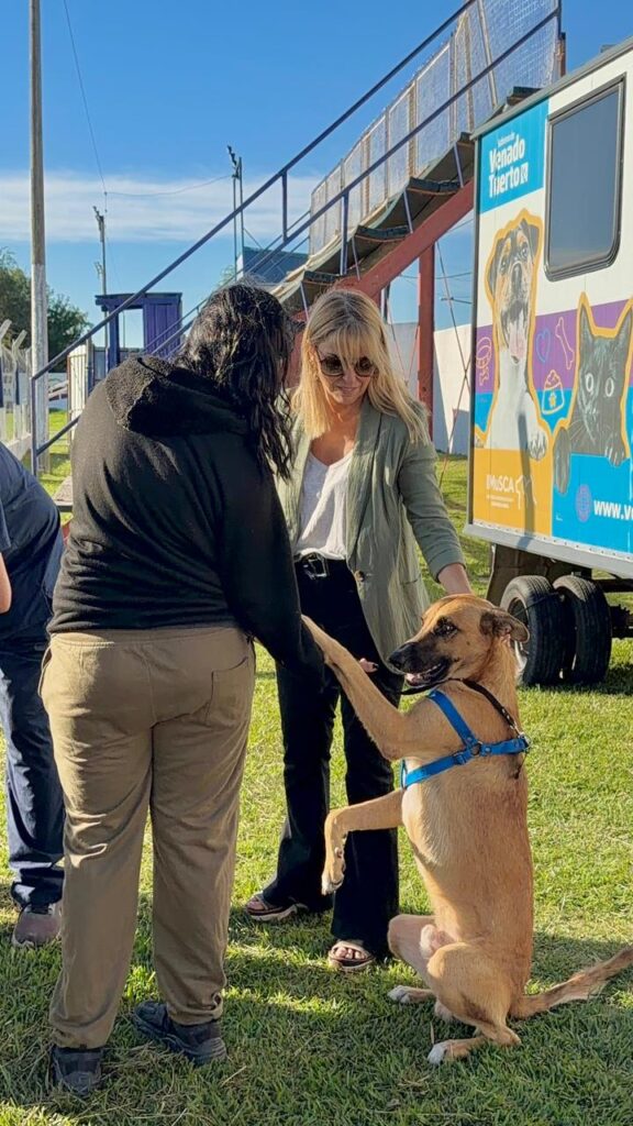 Salud animal en barrio Santa Fe: “Orejas Verdes” debutó en 2026 con 51 dosis antirrábicas y 16 cirugías