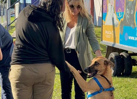 Salud animal en barrio Santa Fe: “Orejas Verdes” debutó en 2026 con 51 dosis antirrábicas y 16 cirugías