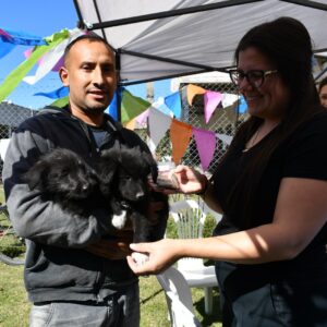 Se realizó una edición especial del “Orejas Verdes” en el Día del Animal Se realizó una edición especial del “Orejas Verdes” en el Día del Animal