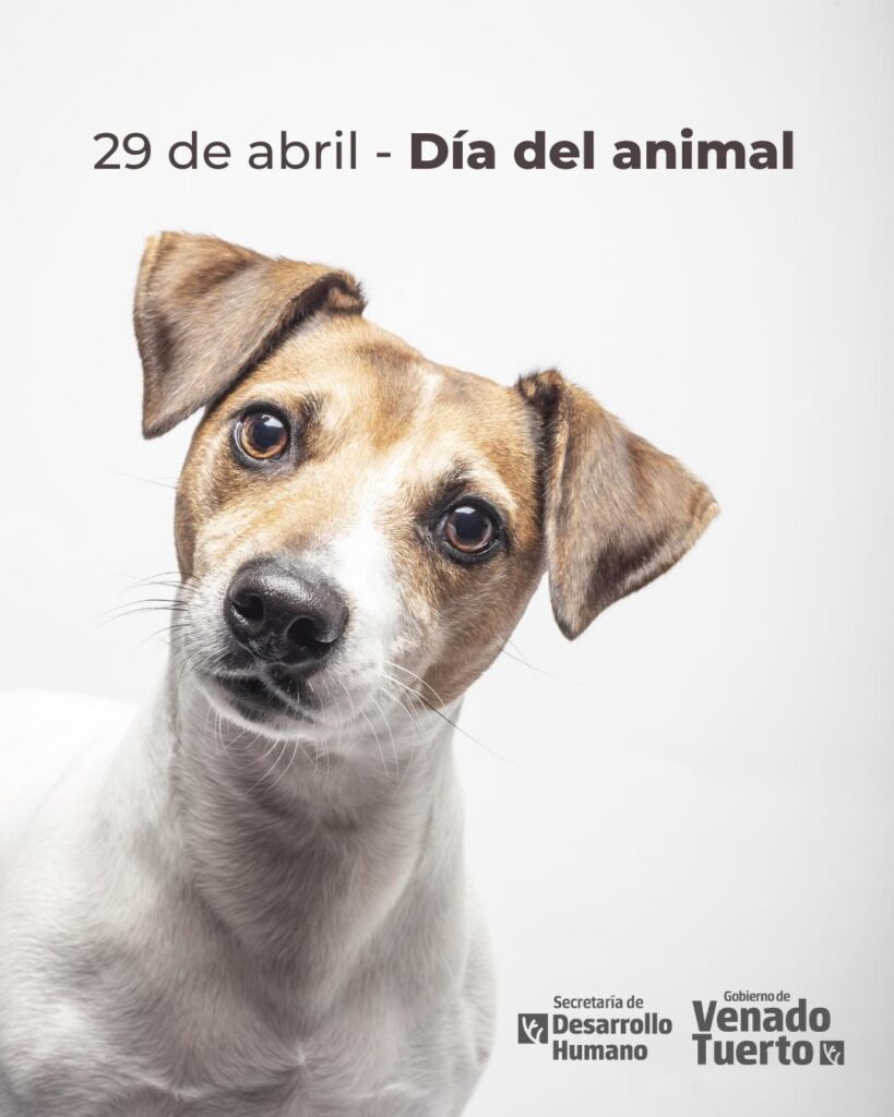 Programa nuevo hogar: porque cuidar a los animales es también comprometerse