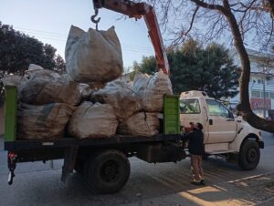 Recolección de residuos verdes para la zona 4
