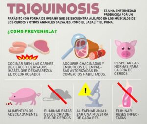 Peligrosa zoonosis: El Gobierno de Venado Tuerto se suma a la Semana de Lucha Contra la Triquinosis