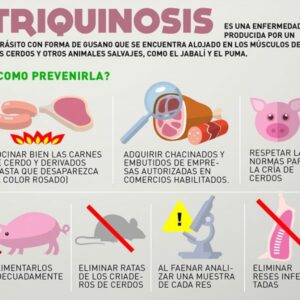 Peligrosa zoonosis: El Gobierno de Venado Tuerto se suma a la Semana de Lucha Contra la Triquinosis