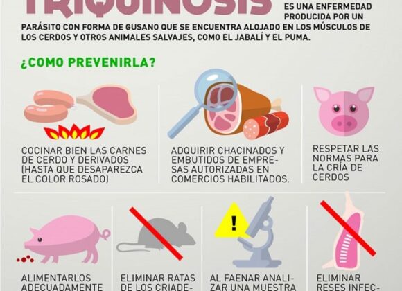 Peligrosa zoonosis: El Gobierno de Venado Tuerto se suma a la Semana de Lucha Contra la Triquinosis