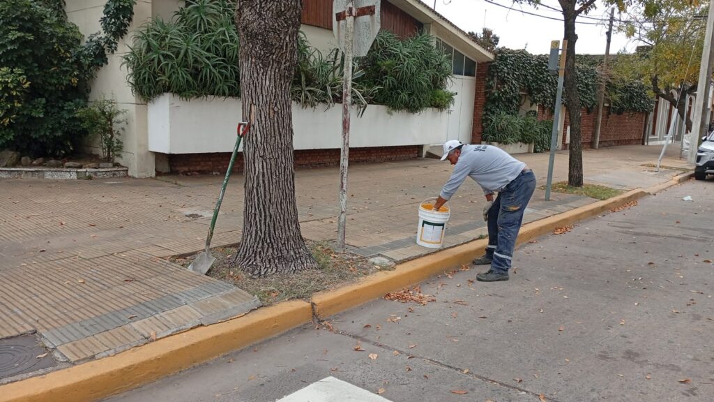 Plan de Movilidad: semana de demarcación vial en distintos puntos de la ciudad