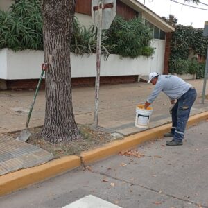 Plan de Movilidad: semana de demarcación vial en distintos puntos de la ciudad