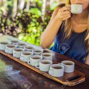 Degustación sensorial de Té en el “Paseo de la Ciudad” con la especialista Inés Rosillo