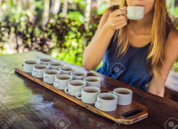 Degustación sensorial de Té en el “Paseo de la Ciudad” con la especialista Inés Rosillo