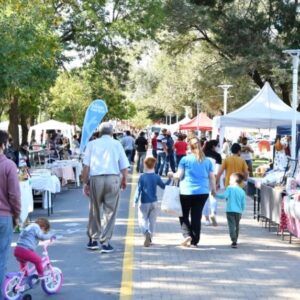 Especial del “Paseo de la Ciudad” en plaza San Martín, con degustación de té, espectáculos e intercambio de figuritas