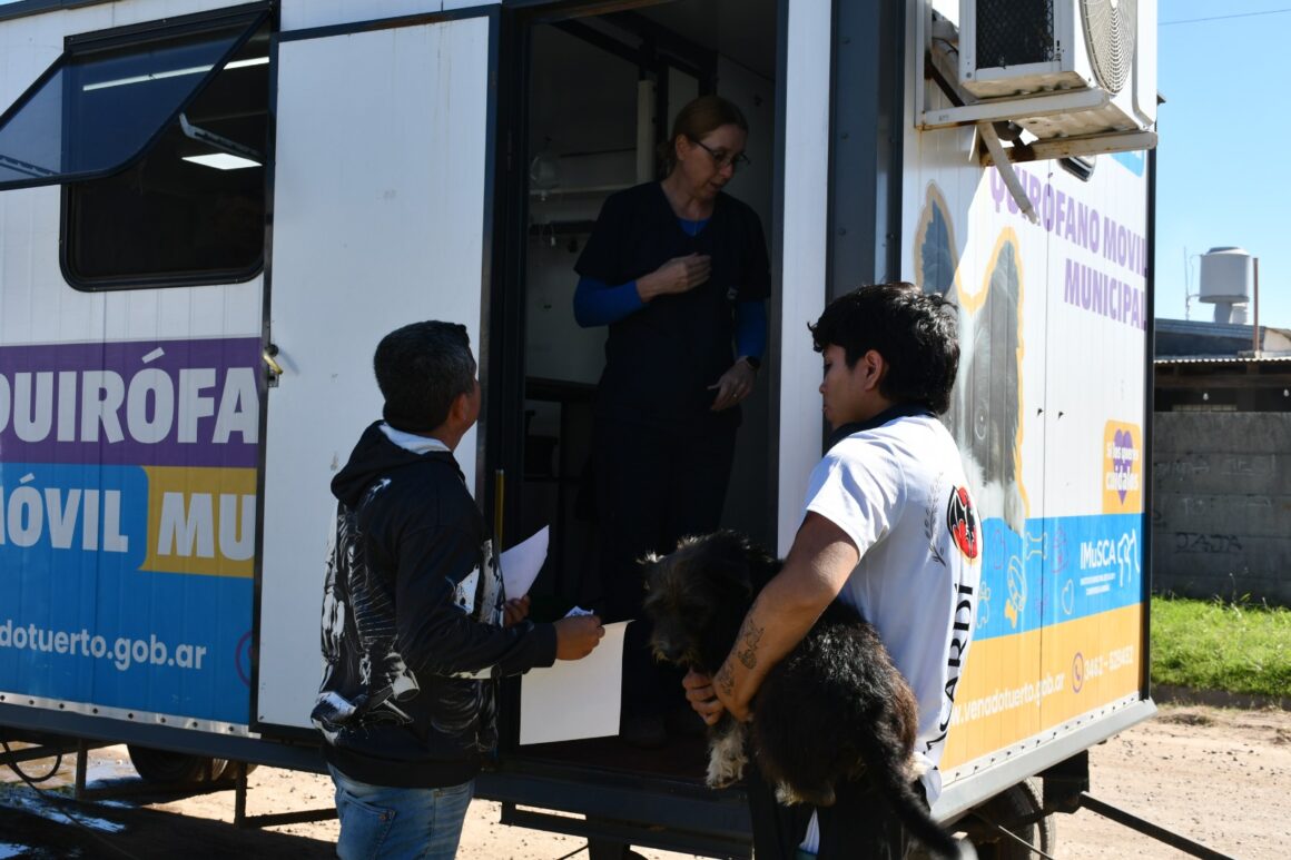 Balance del programa Orejas Verdes en barrio Juan XXIII, con 22 cirugías y 54 vacunaciones