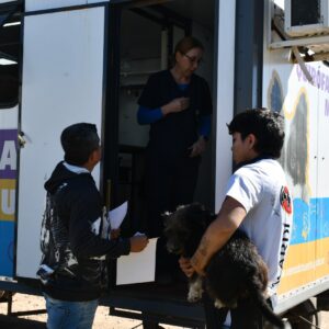 Balance del programa Orejas Verdes en barrio Juan XXIII, con 22 cirugías y 54 vacunaciones Balance del programa Orejas Verdes en barrio Juan XXIII, con 22 cirugías y 54 vacunaciones