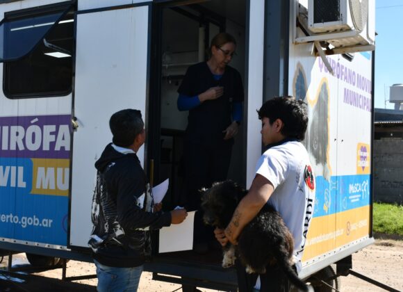 Balance del programa Orejas Verdes en barrio Juan XXIII, con 22 cirugías y 54 vacunaciones