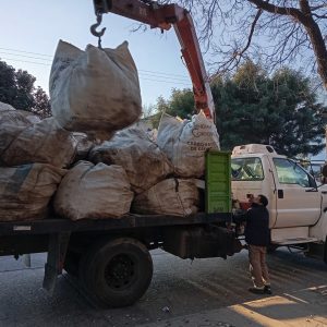 Recolección de residuos mayores- Zona 4