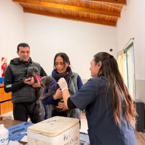 Más prevención, más bienestar: el Gobierno de Venado Tuerto llevó servicios de salud animal gratuitos al barrio Güemes Más prevención, más bienestar: el Gobierno de Venado Tuerto llevó servicios de salud animal gratuitos al barrio Güemes