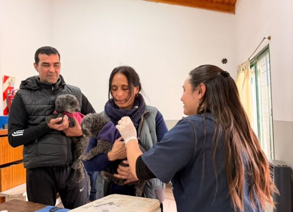 Más prevención, más bienestar: el Gobierno de Venado Tuerto llevó servicios de salud animal gratuitos al barrio Güemes