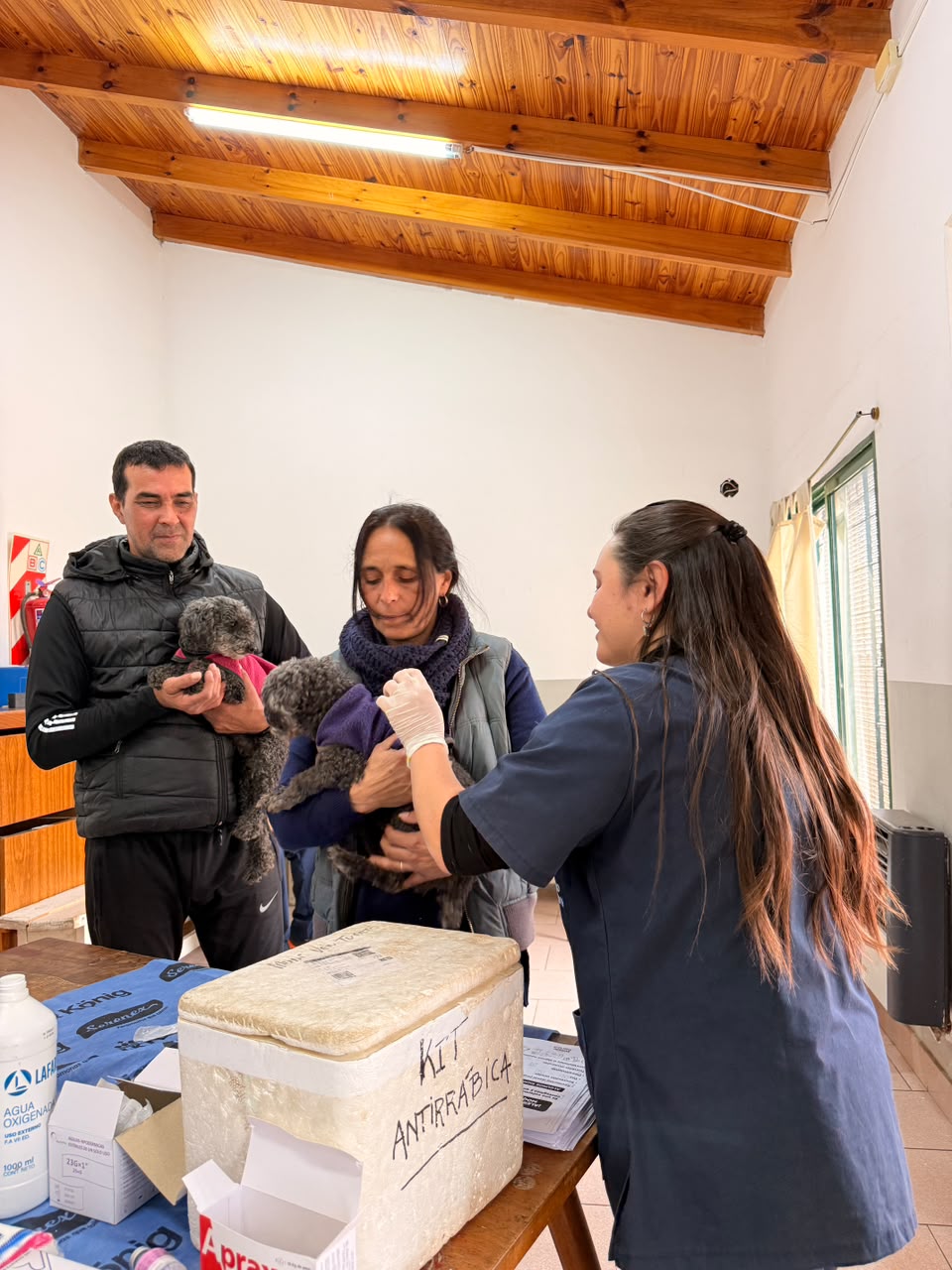 Más prevención, más bienestar: el Gobierno de Venado Tuerto llevó servicios de salud animal gratuitos al barrio Güemes Más prevención, más bienestar: el Gobierno de Venado Tuerto llevó servicios de salud animal gratuitos al barrio Güemes