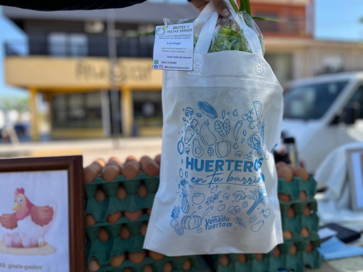 Centro II: “Huerteros en tu Barrio” prosigue julio en la Plaza DE La Democracia Centro II: “Huerteros en tu Barrio” prosigue julio en la Plaza DE La Democracia