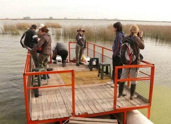 Venado Tuerto será sede del 4° Encuentro Santafesino de Observadores de Aves