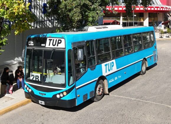 El TUP modificará su cronograma de servicios