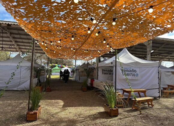 Presencia del Paseo de la Ciudad en la Expo con más de 130 Emprendedores
