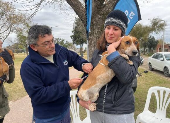 Salud animal: Orejas Verdes reanuda sus actividades comunitarias en barrio Alejandro Gutiérrez