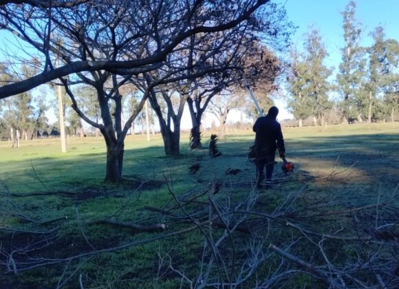 Las cuadrillas municipales avanzan con distintas tareas de mantenimiento en Espacios Públicos