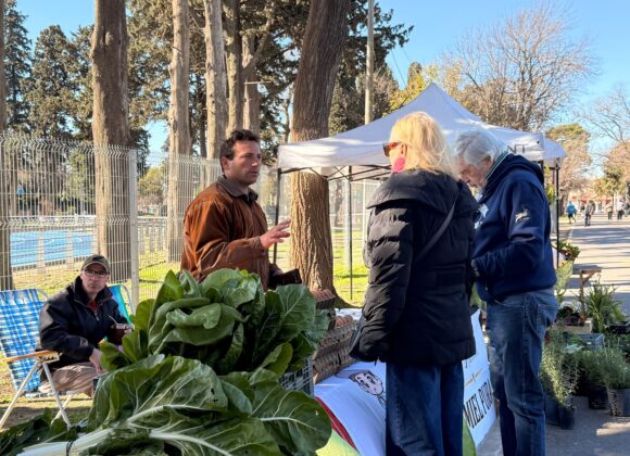 Otro domingo de encuentro comunitario en el paseo ferial “Venite al Parque”