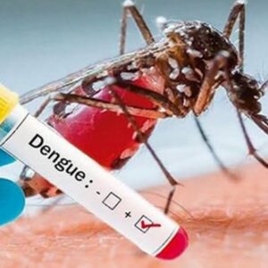 Día Internacional de la Lucha Contra el Dengue: prevenir es responsabilidad de todos Día Internacional de la Lucha Contra el Dengue: prevenir es responsabilidad de todos