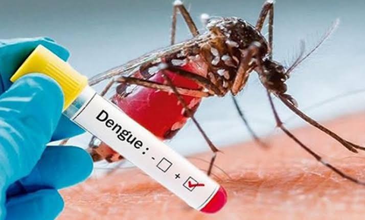 Día Internacional de la Lucha Contra el Dengue: prevenir es responsabilidad de todos Día Internacional de la Lucha Contra el Dengue: prevenir es responsabilidad de todos