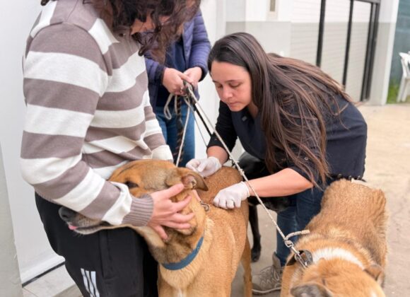 “Orejas Verdes” realizó servicios de salud animal en barrio Rivadavia, con 67 vacunas y 30 castraciones