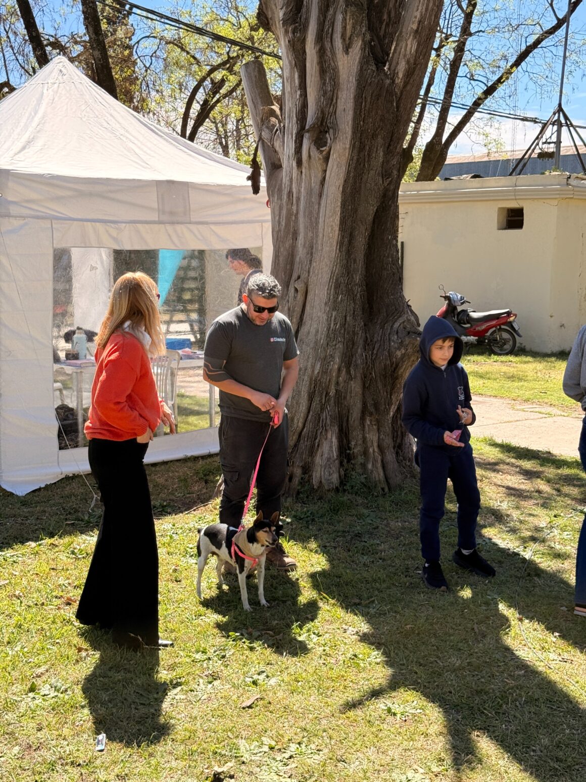 “Orejas Verdes” sumó más de 80 prestaciones de salud animal en el barrio Tiro Federal