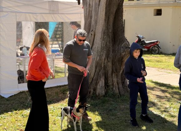 “Orejas Verdes” sumó más de 80 prestaciones de salud animal en el barrio Tiro Federal