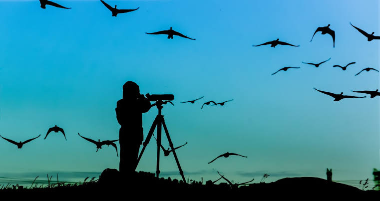 Charla abierta sobre Iniciación a la Observación de Aves en el Sum “Héroes de Malvinas” Charla abierta sobre Iniciación a la Observación de Aves en el Sum “Héroes de Malvinas”
