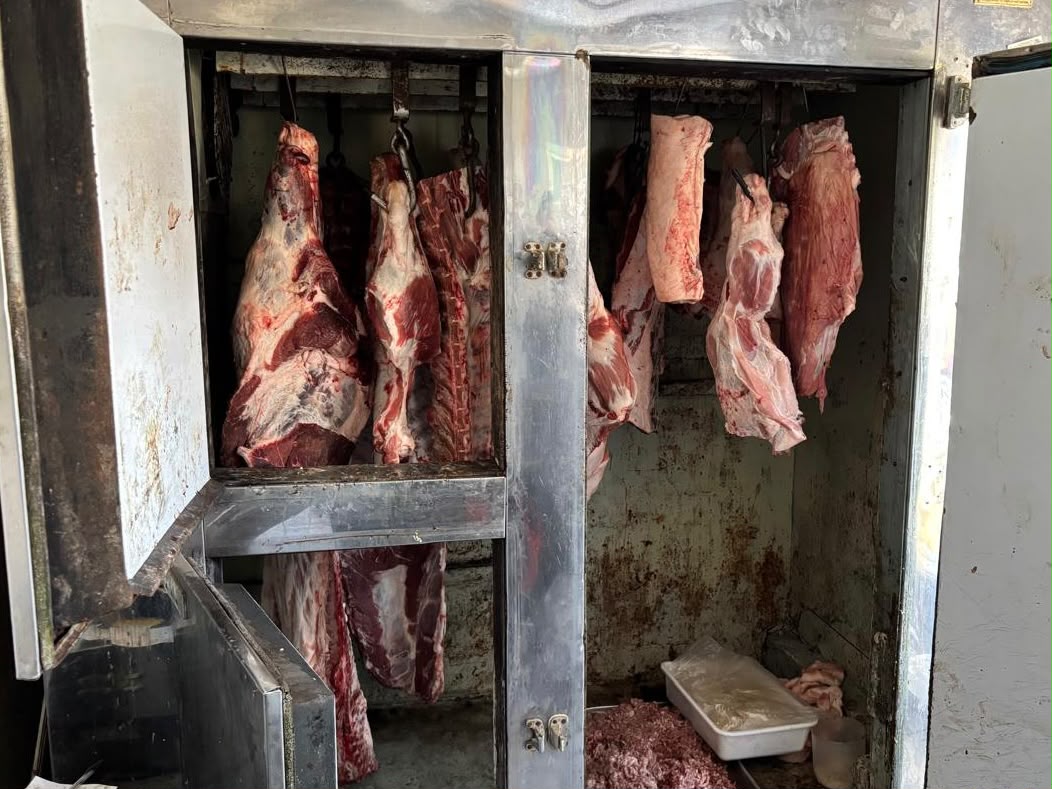 Decomisaron 150 kilos de carne en una carnicería sin habilitación y con graves irregularidades sanitarias Decomisaron 150 kilos de carne en una carnicería sin habilitación y con graves irregularidades sanitarias