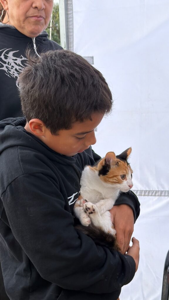 Salud Animal: jornada de vacunación contra la rabia y desparasitación en el Centro Integrador Comunitario