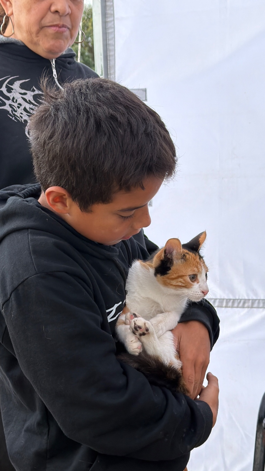 Salud Animal: jornada de vacunación contra la rabia y desparasitación en el Centro Integrador Comunitario Salud Animal: jornada de vacunación contra la rabia y desparasitación en el Centro Integrador Comunitario