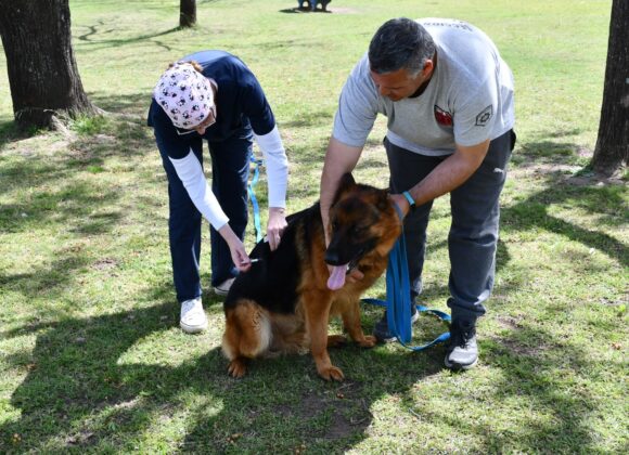 “Orejas Verdes” realizó más de 150 servicios de salud animal en el CIC del barrio Iturbide