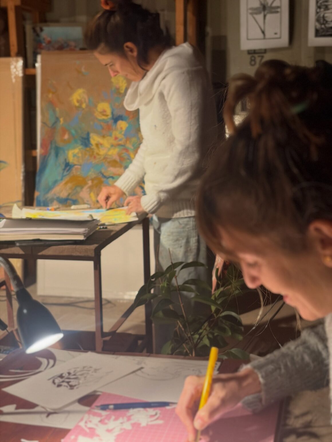 Mariana Berardi y Ana Lucía Carena presentan la muestra “Urdimbre, relatos Co-Creados” en la Casa Museo Mariana Berardi y Ana Lucía Carena presentan la muestra “Urdimbre, relatos Co-Creados” en la Casa Museo