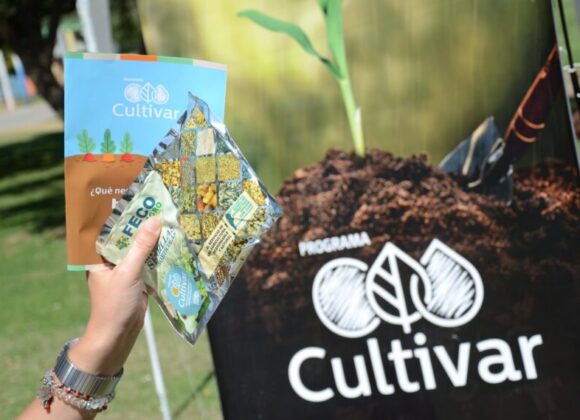Programa Cultivar: prosigue la entrega de kits de semillas de la temporada primavera-verano