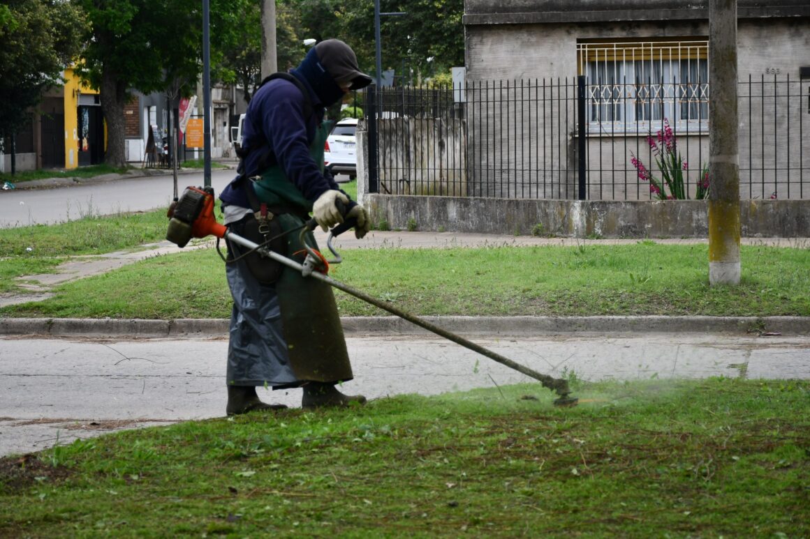 Intervenciones de corte de pasto y poda en Parque Municipal, plazas y calles Intervenciones de corte de pasto y poda en Parque Municipal, plazas y calles