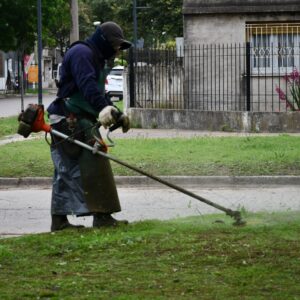 Intervenciones de corte de pasto y poda en Parque Municipal, plazas y calles Intervenciones de corte de pasto y poda en Parque Municipal, plazas y calles