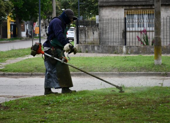 Intervenciones de corte de pasto y poda en Parque Municipal, plazas y calles